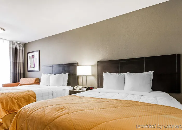 Quality Airport Hotel 3*