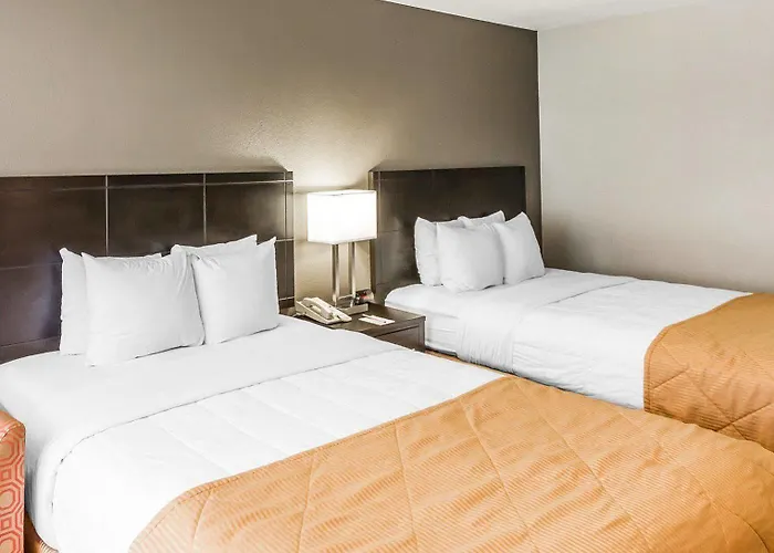 Hotel Quality Airport