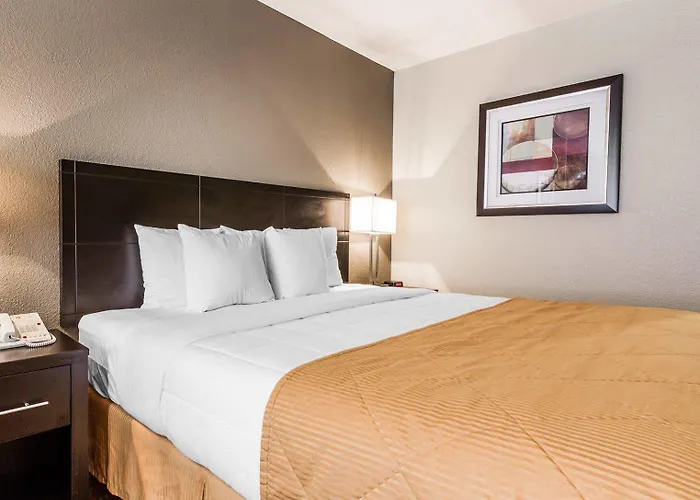 Hotel Quality Airport 3*