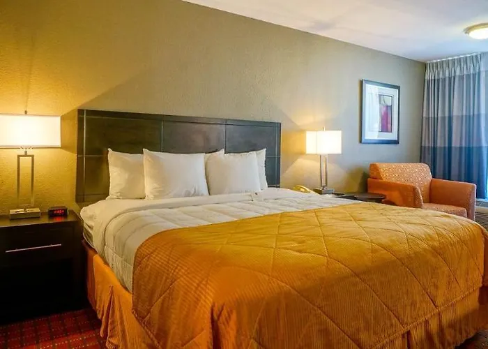 Quality Airport Hotel Phoenix