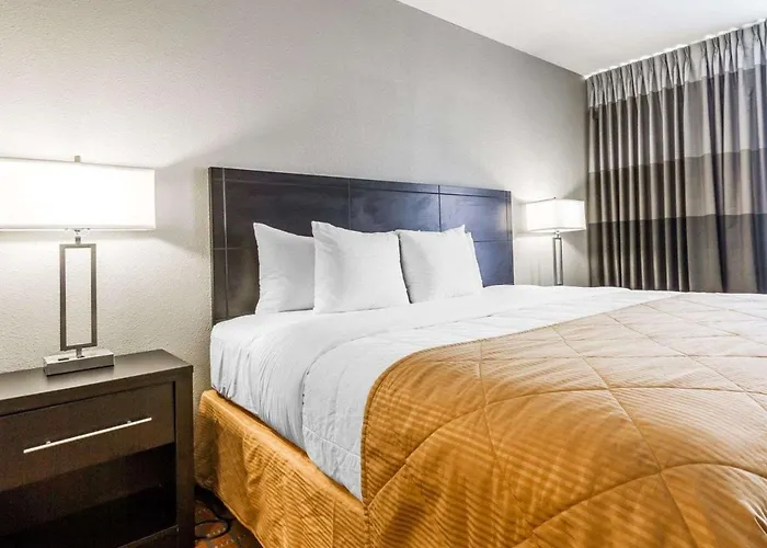 Quality Airport Hotel Phoenix